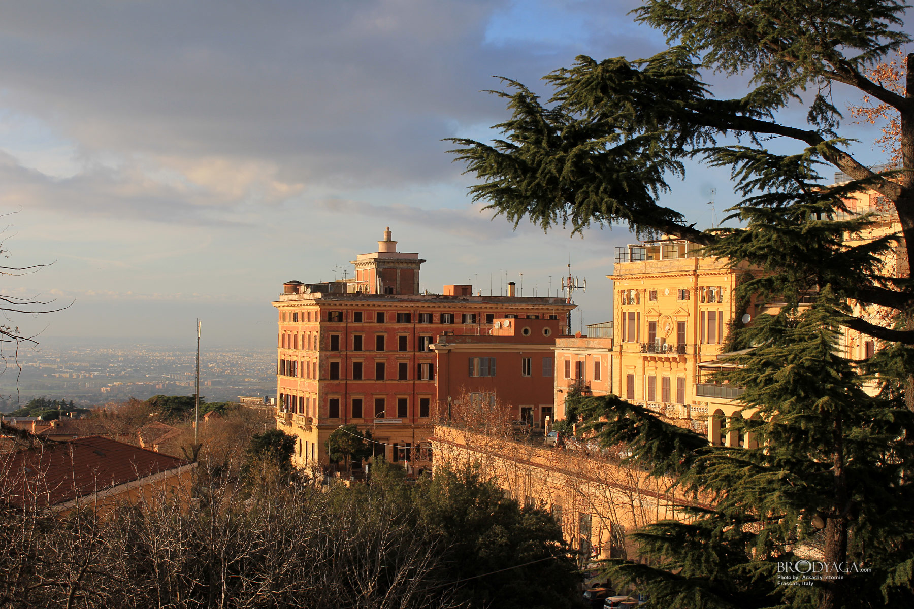 Frascati